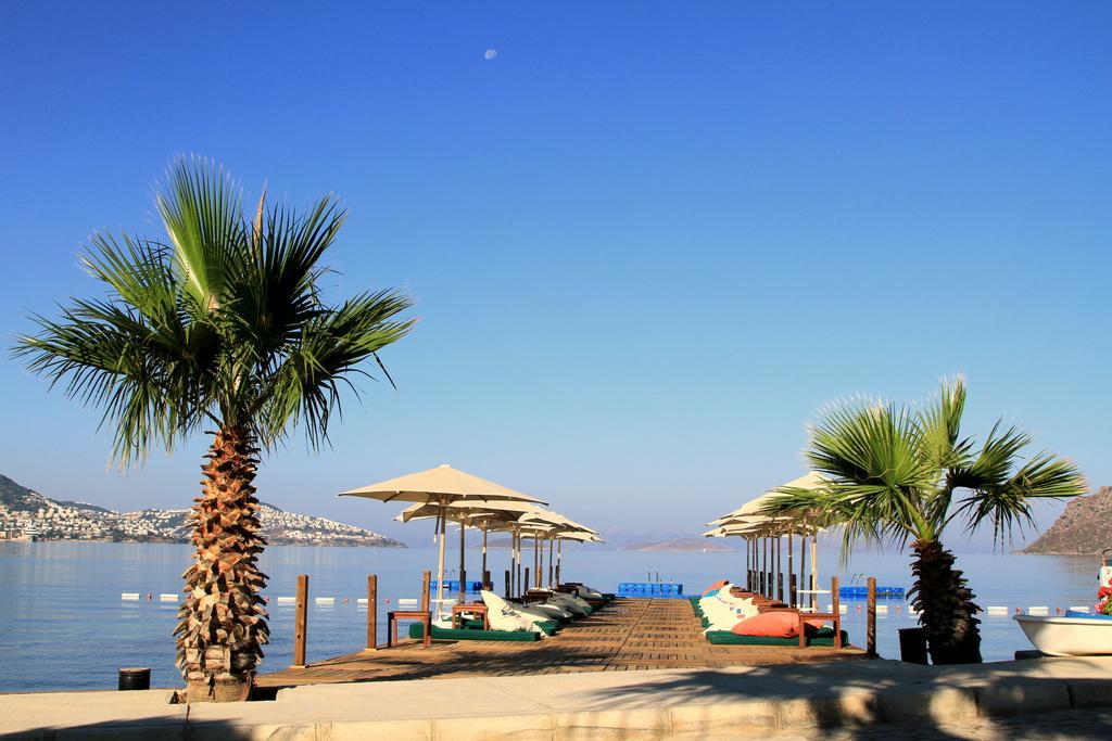 Elite Hotel Bodrum Yalıkavak Dış mekan fotoğraf